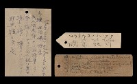 蘭嶼角鴞藏品圖，第5張